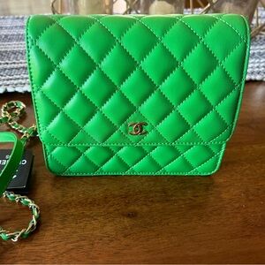 Brand new mini purse in perfect green